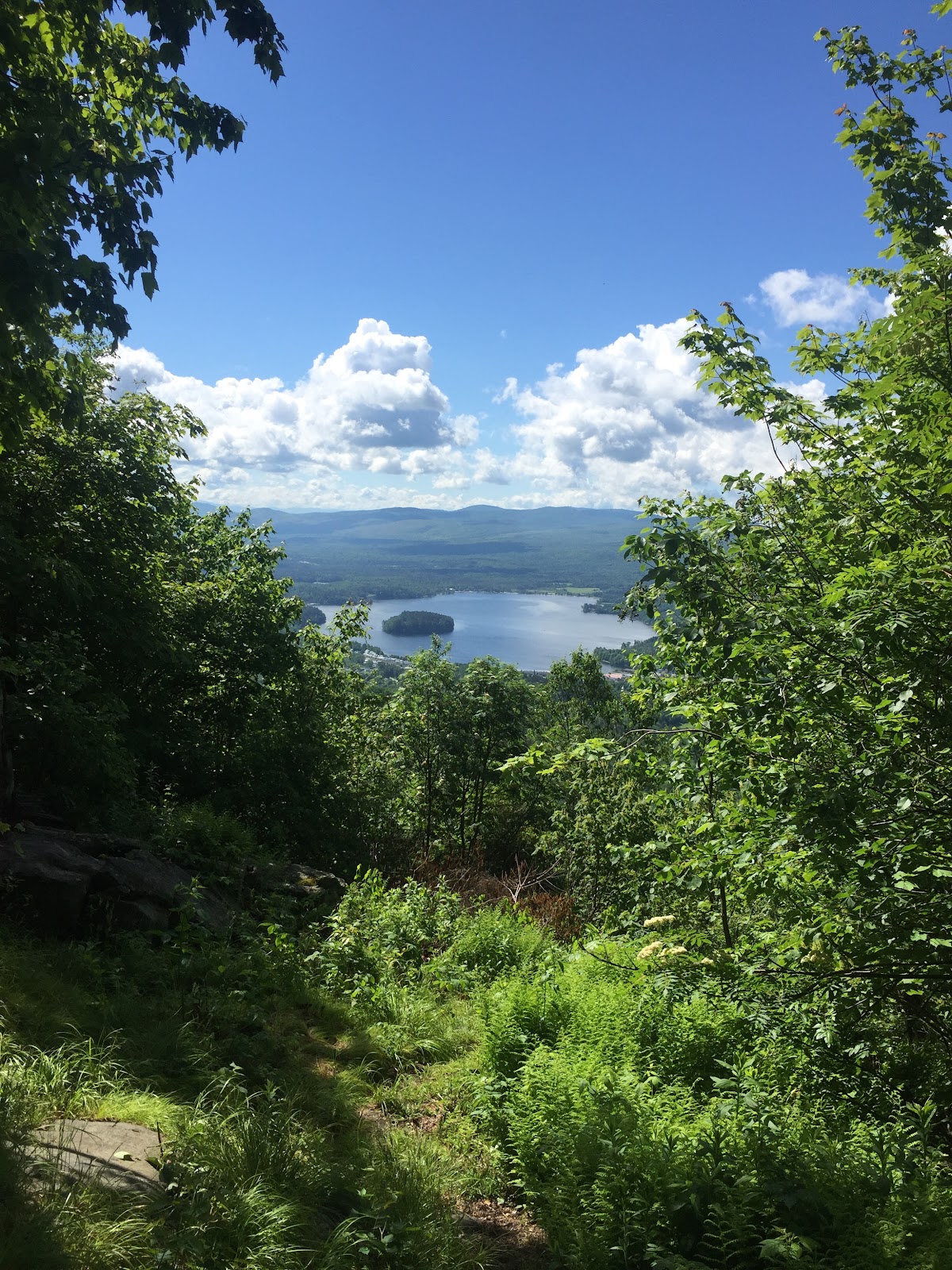 Bluff Ridge Trail