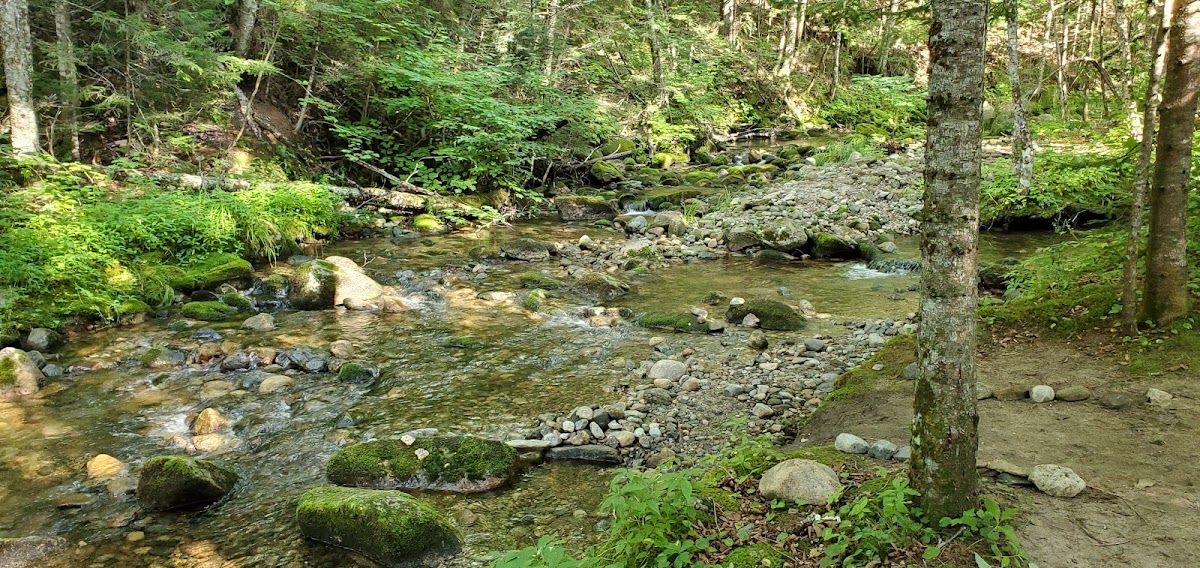 South Branch Israel River
