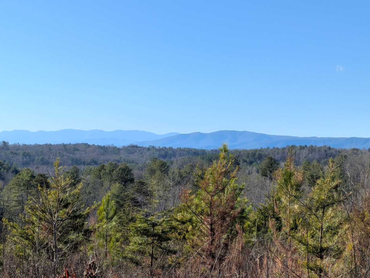 Oak Hill Community Park & Forest
