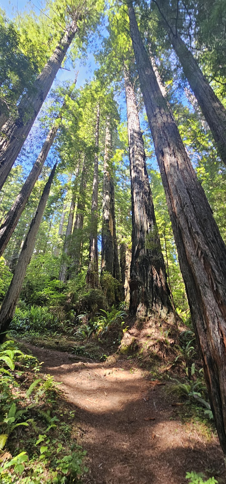 Hope Creek