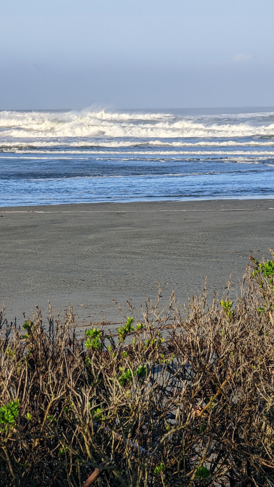 Redwood Creek