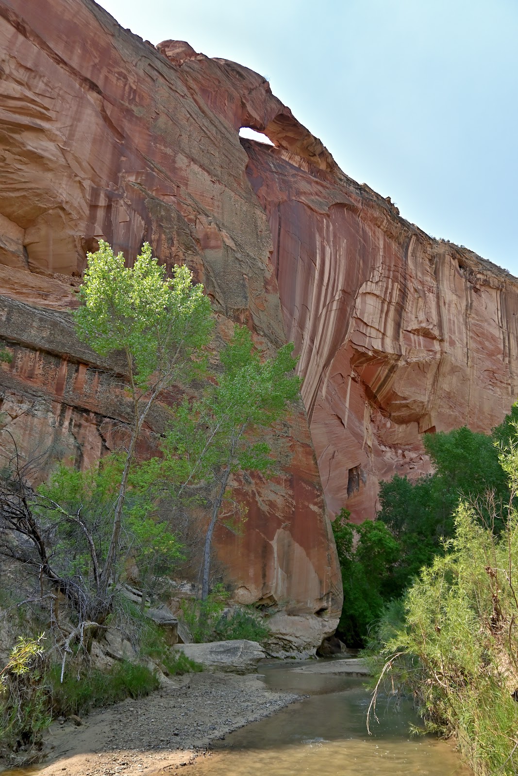 Escalante River Trail