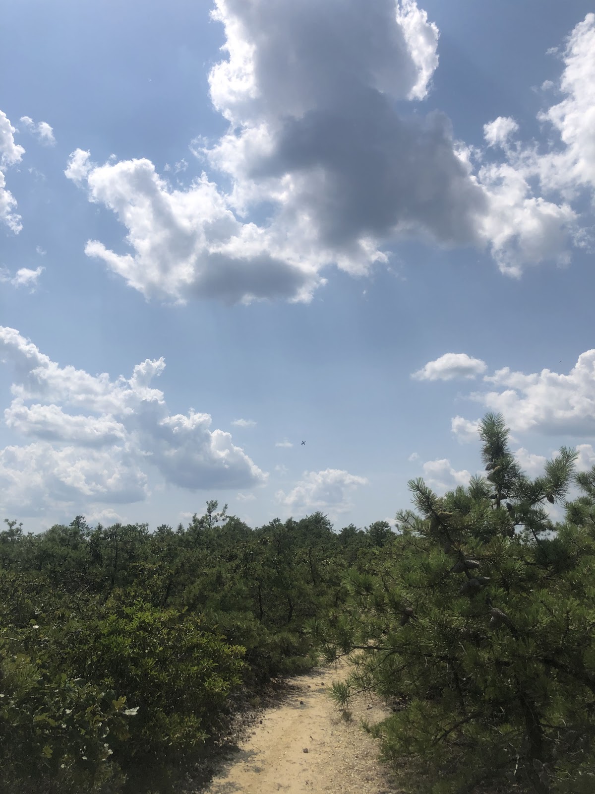 Warren Grove Recreation Area