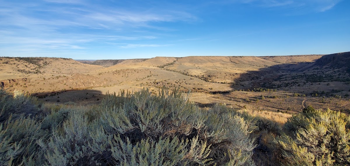 Middle Fork Owyhee River