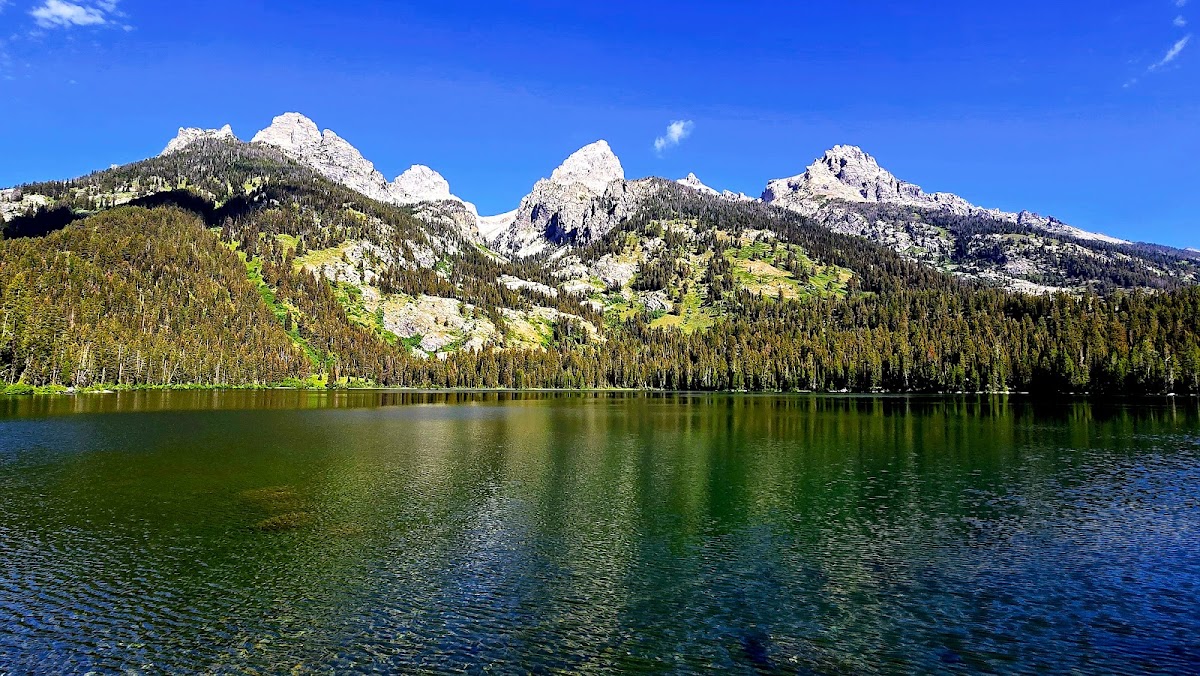 Bradley Lake Trail
