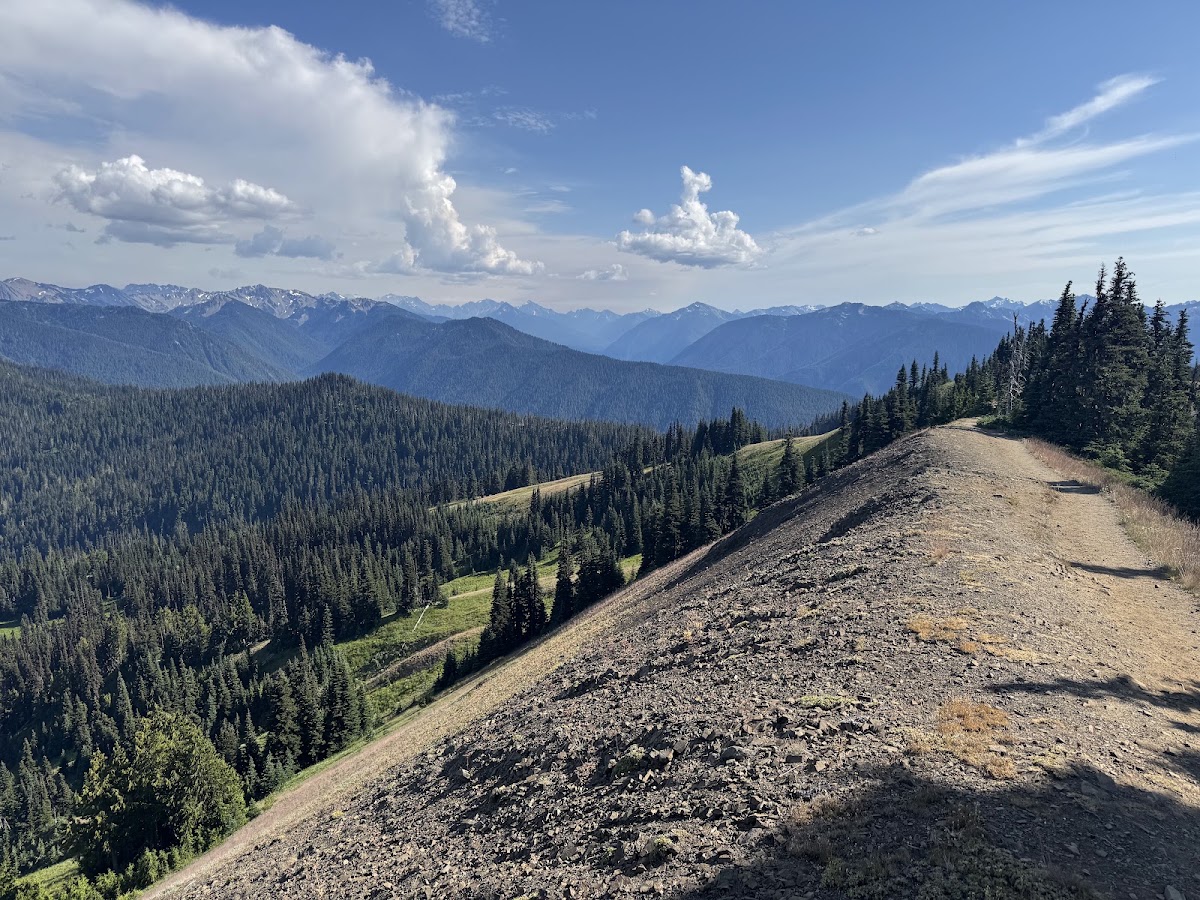 Klahhane Ridge Trail