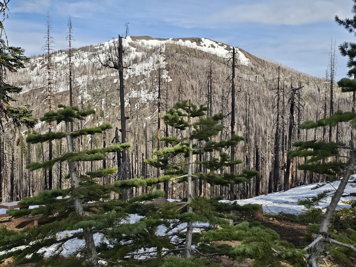 Southwest Campground