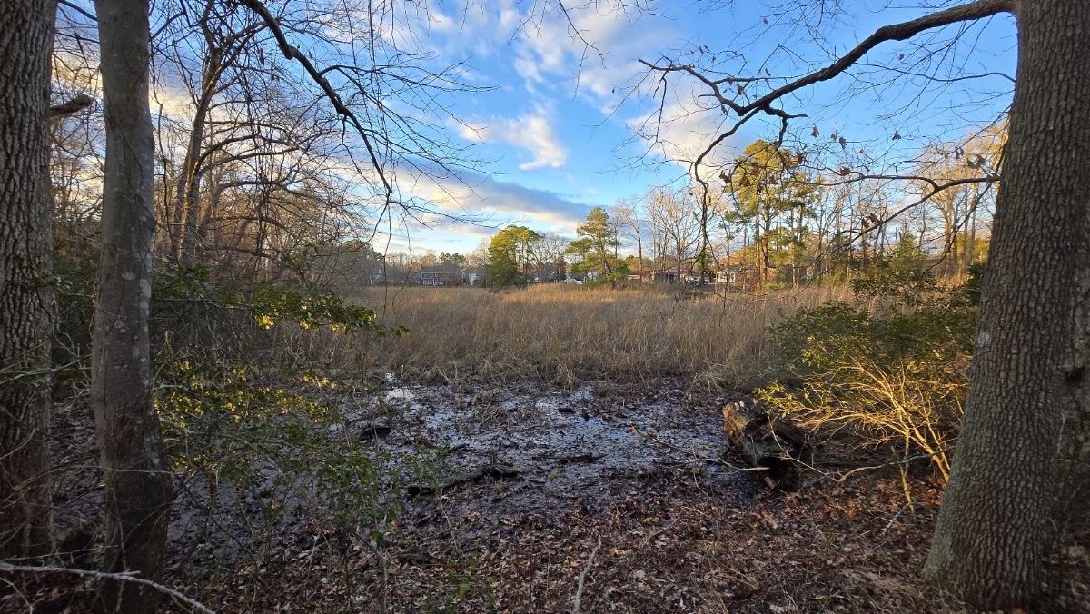 Western Branch Trail