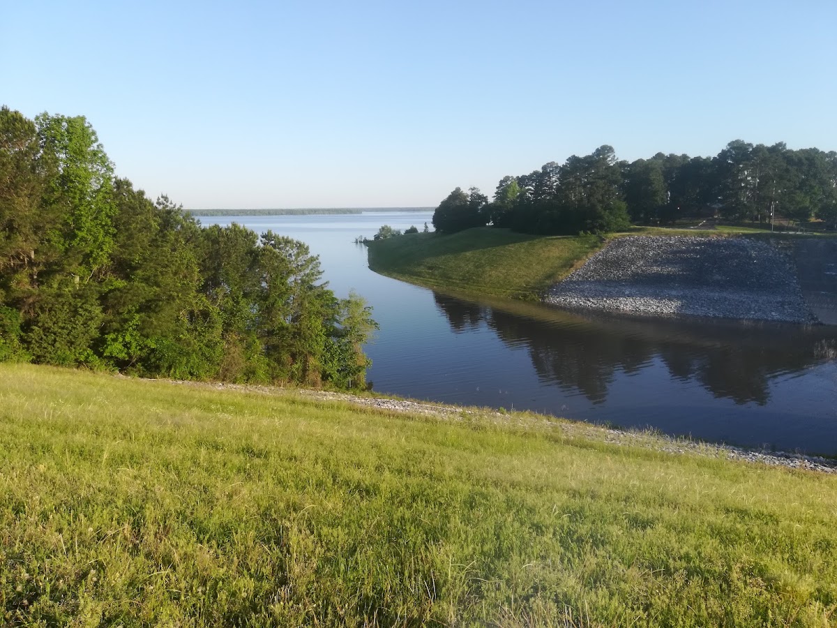 Wright Patman Lake
