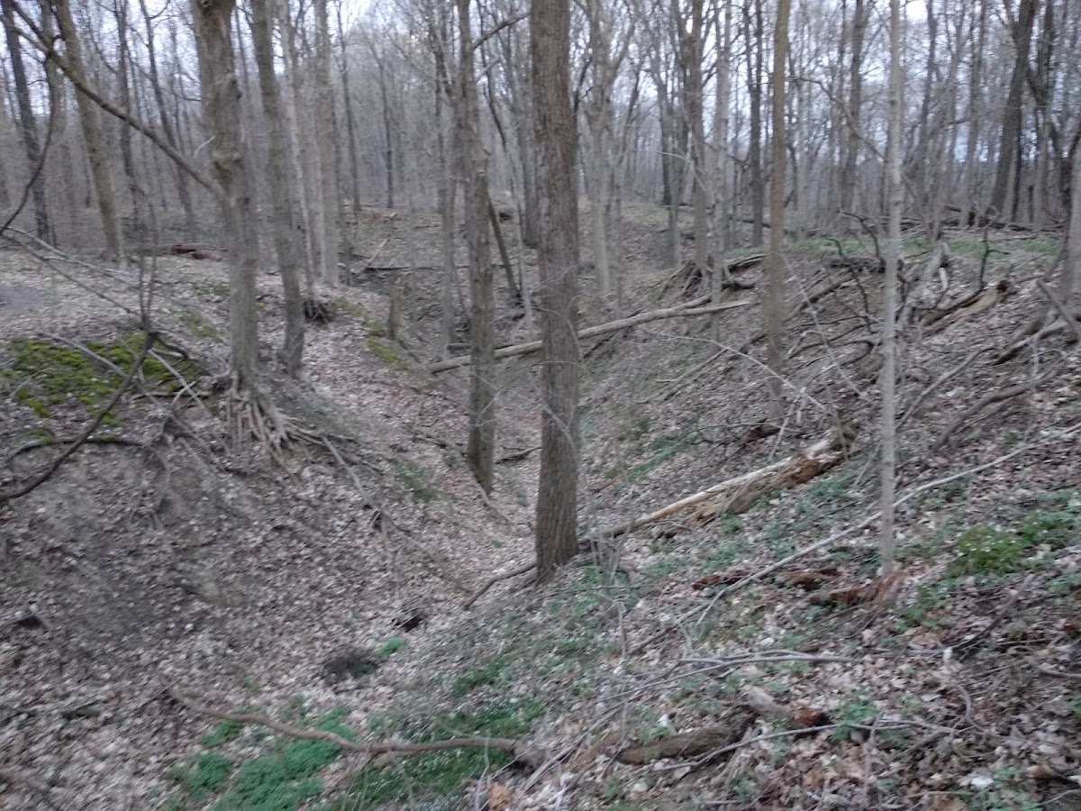 Hoffman Nature Area MTB Trail