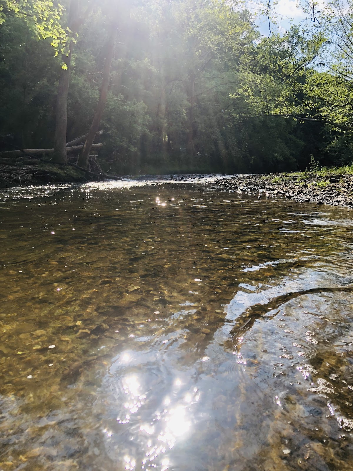 South Branch Patapsco River