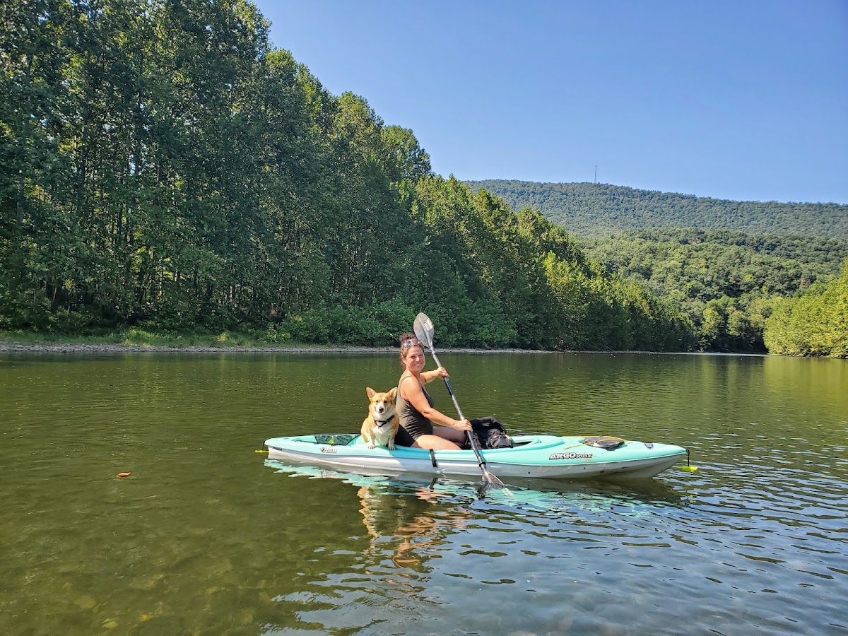 South Branch Potomac River
