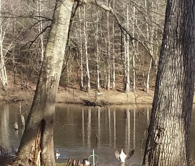 Masonite Lake