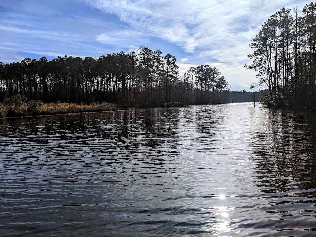 Lake Cohoon