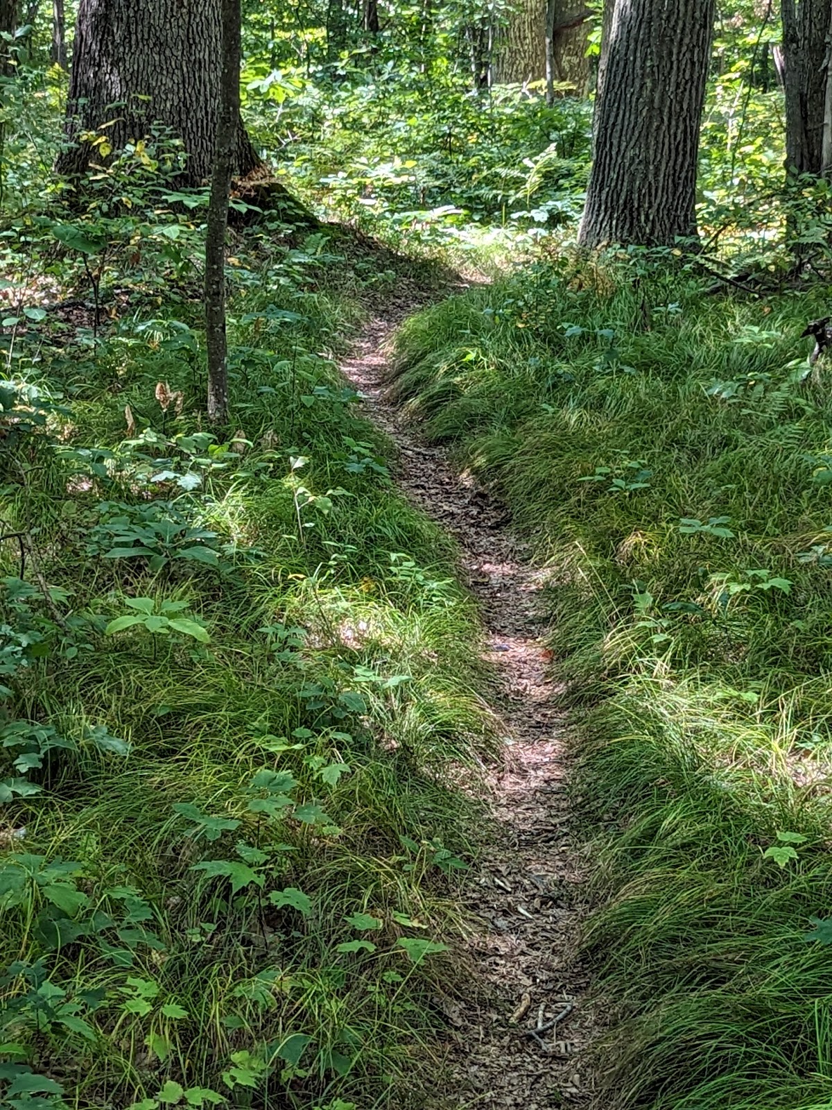 Hungerford Lake Recreation Area