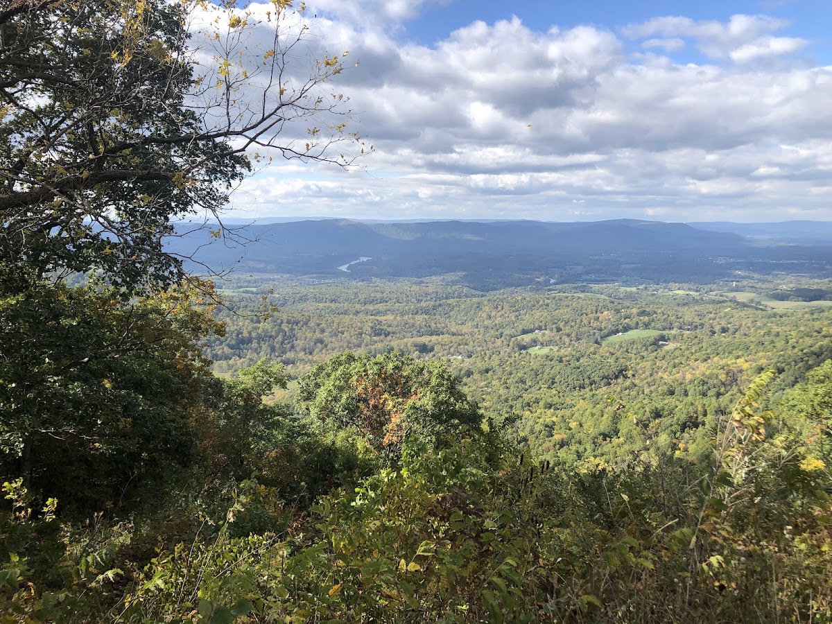 Gooney Run