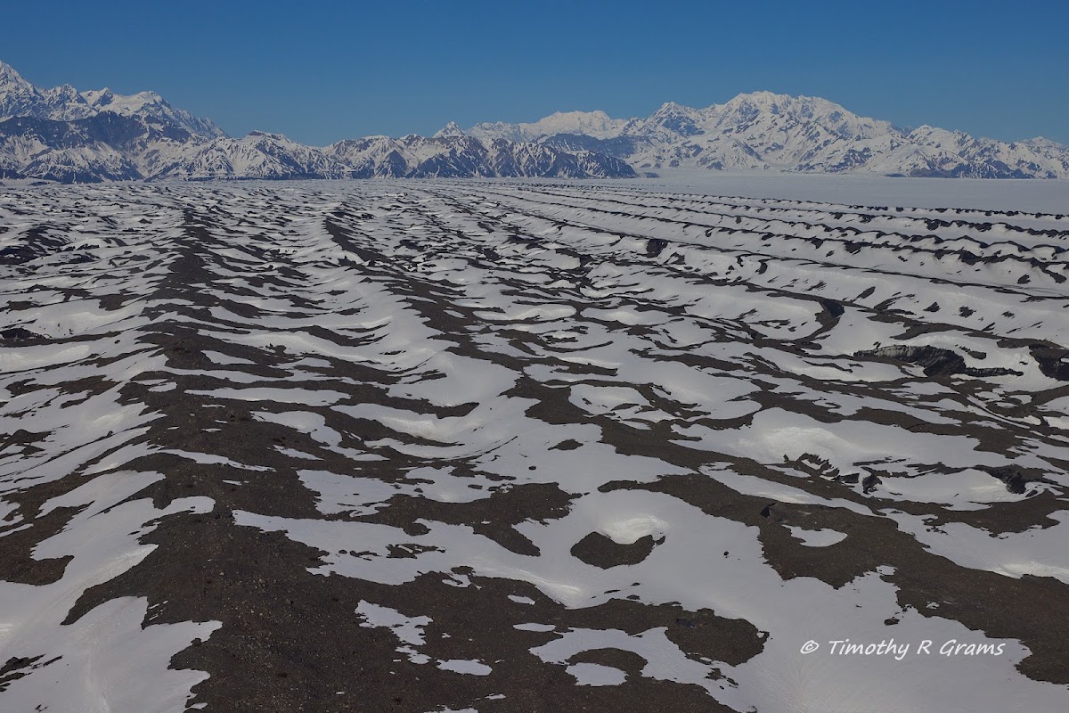 Malaspina Glacier