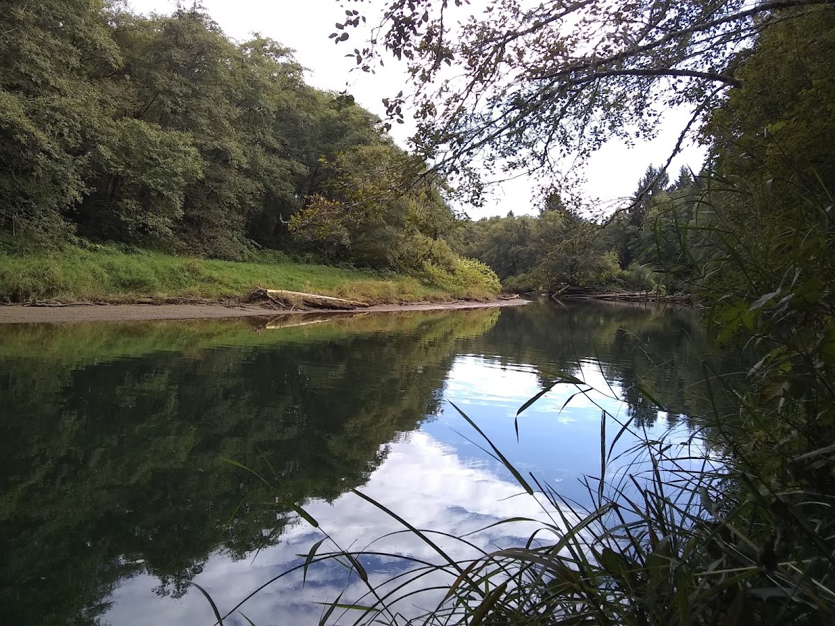 Humptulips River