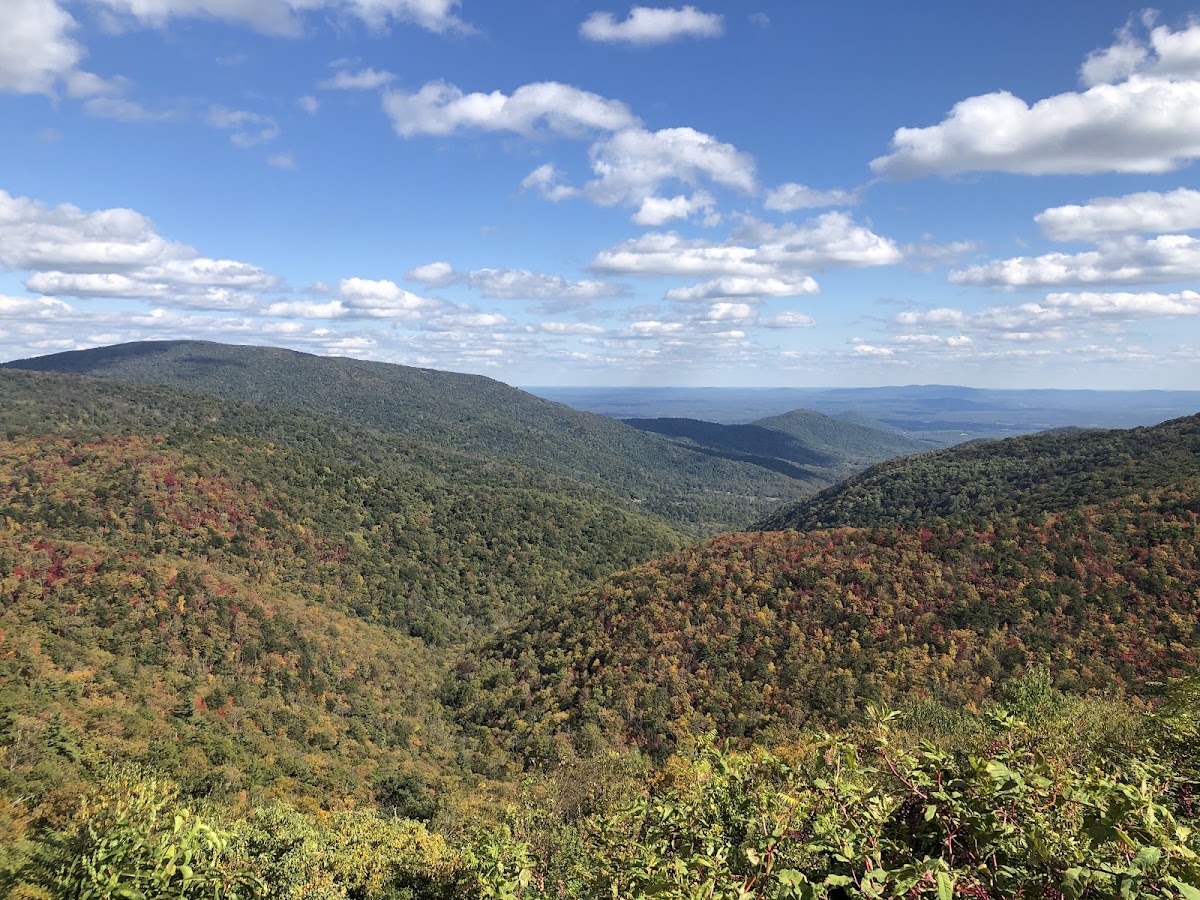 Ivy Creek