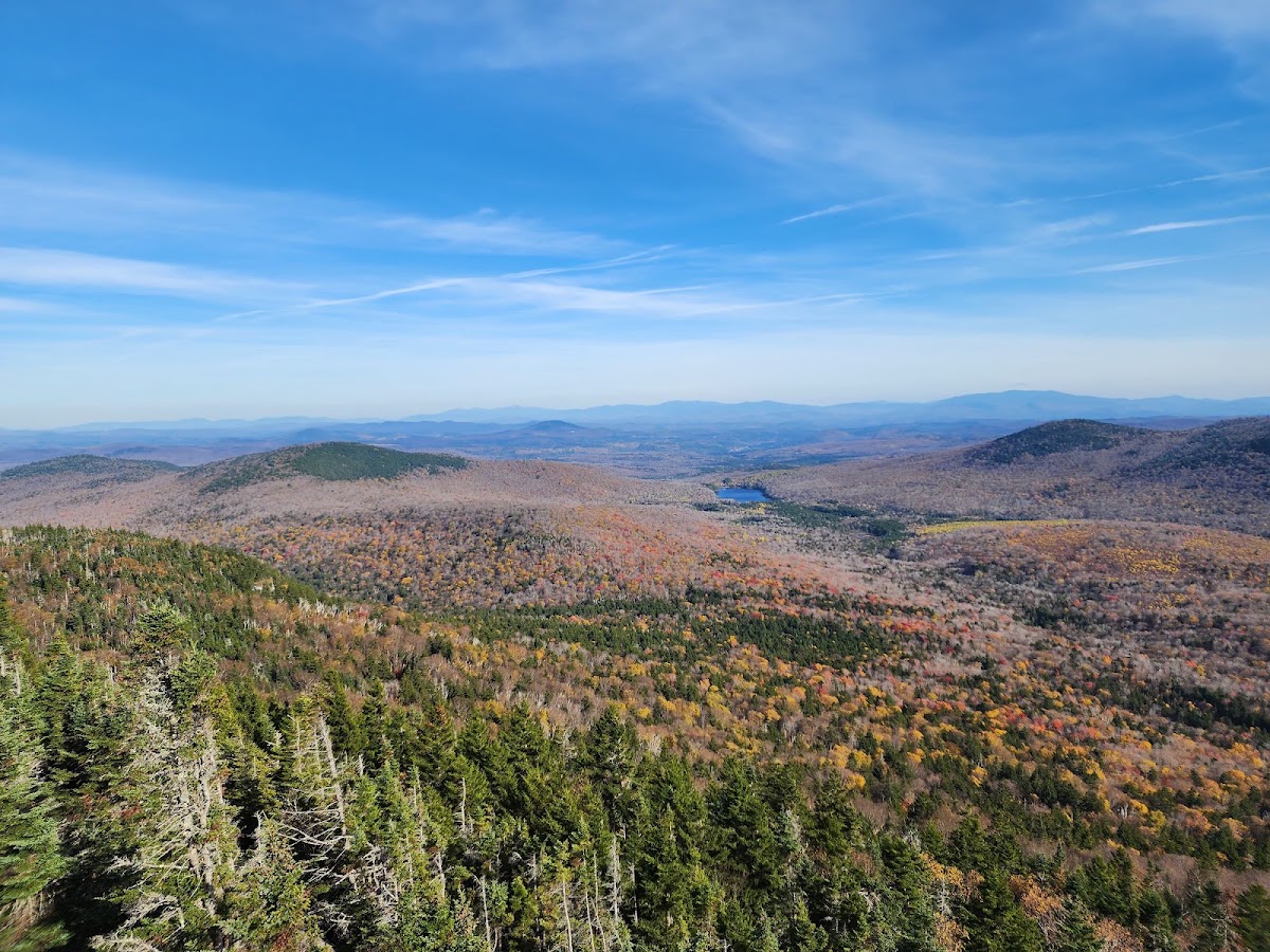 Spruce - Seyon Trail