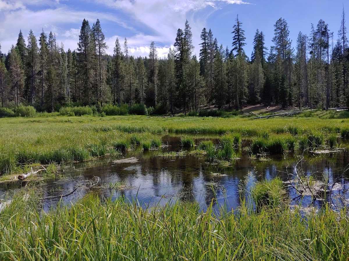 Dream Lake
