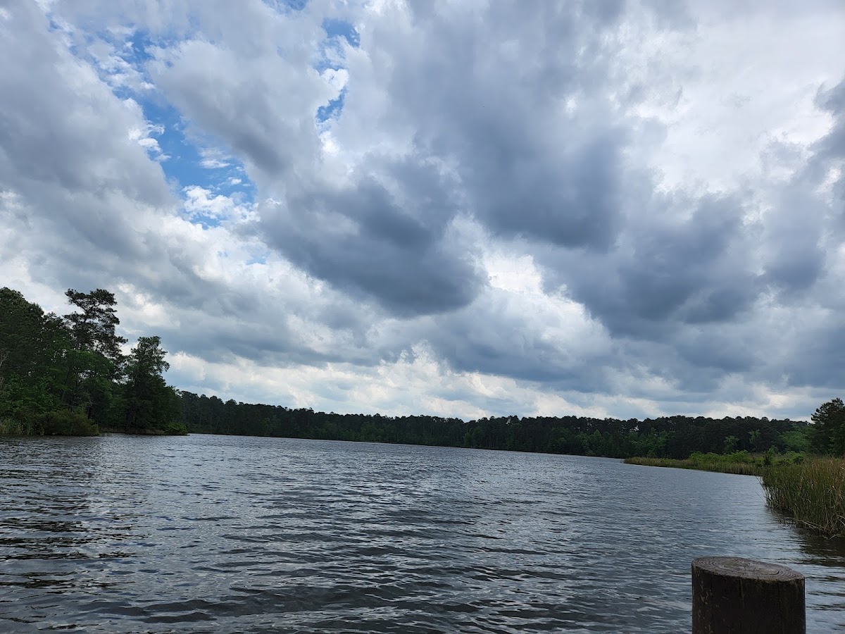 Caney Lakes Unit (Kisatchie National Forest)