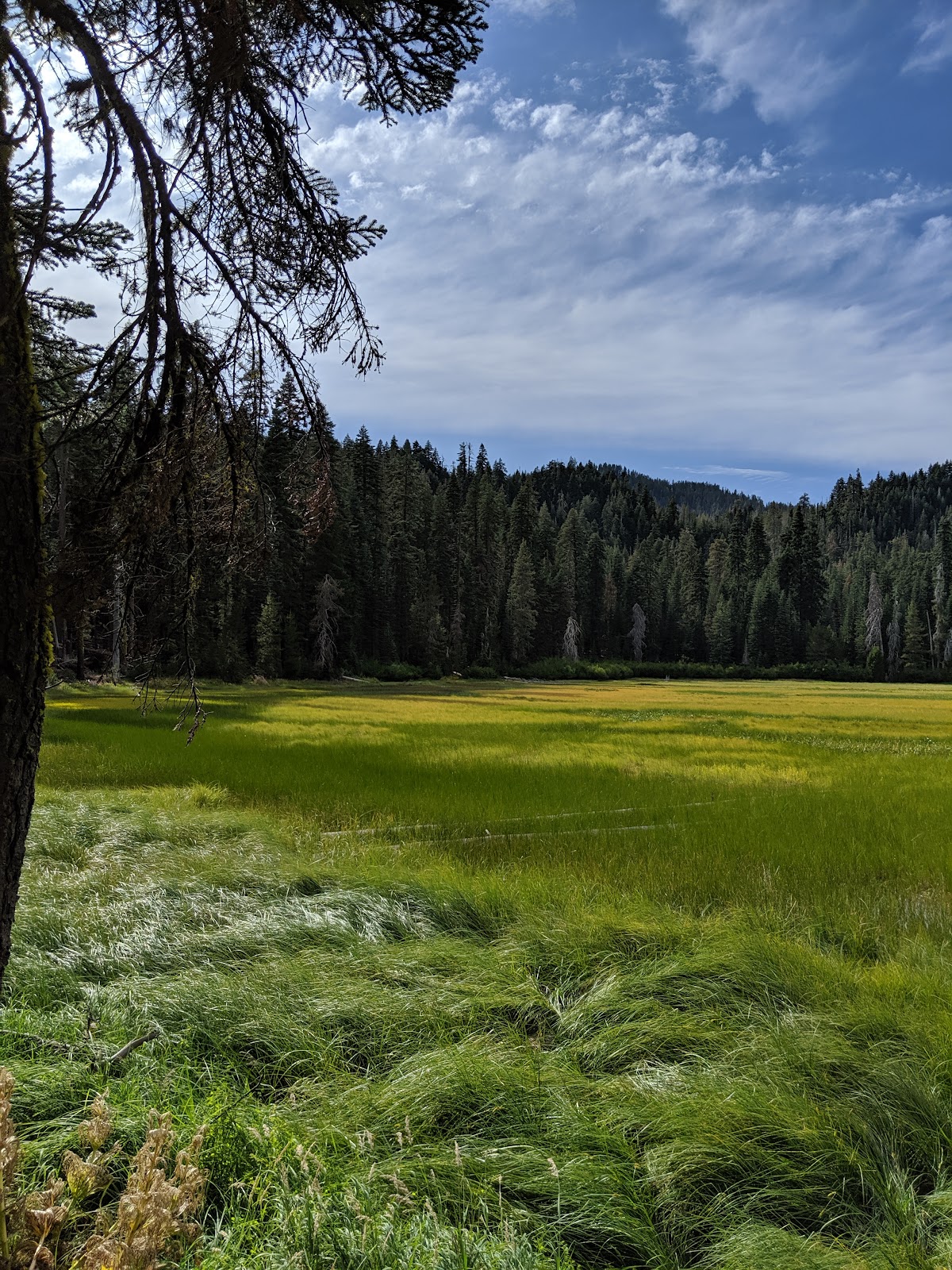 Little Willow Lake