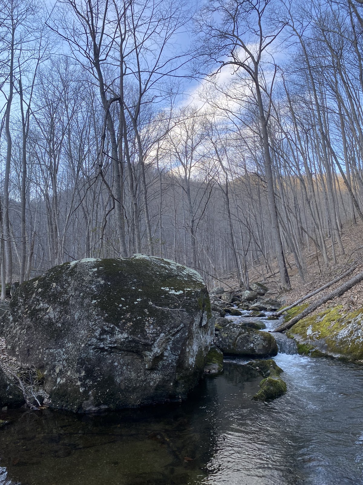 North Fork Buffalo River