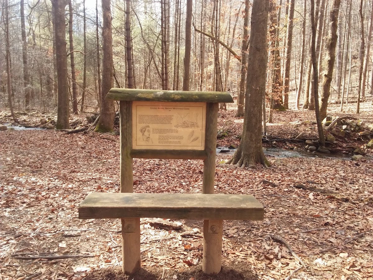 Brown Mountain Creek