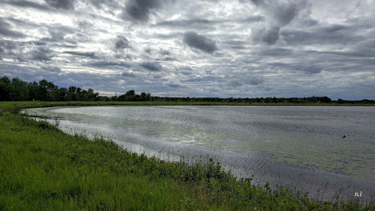 Phantom Lake