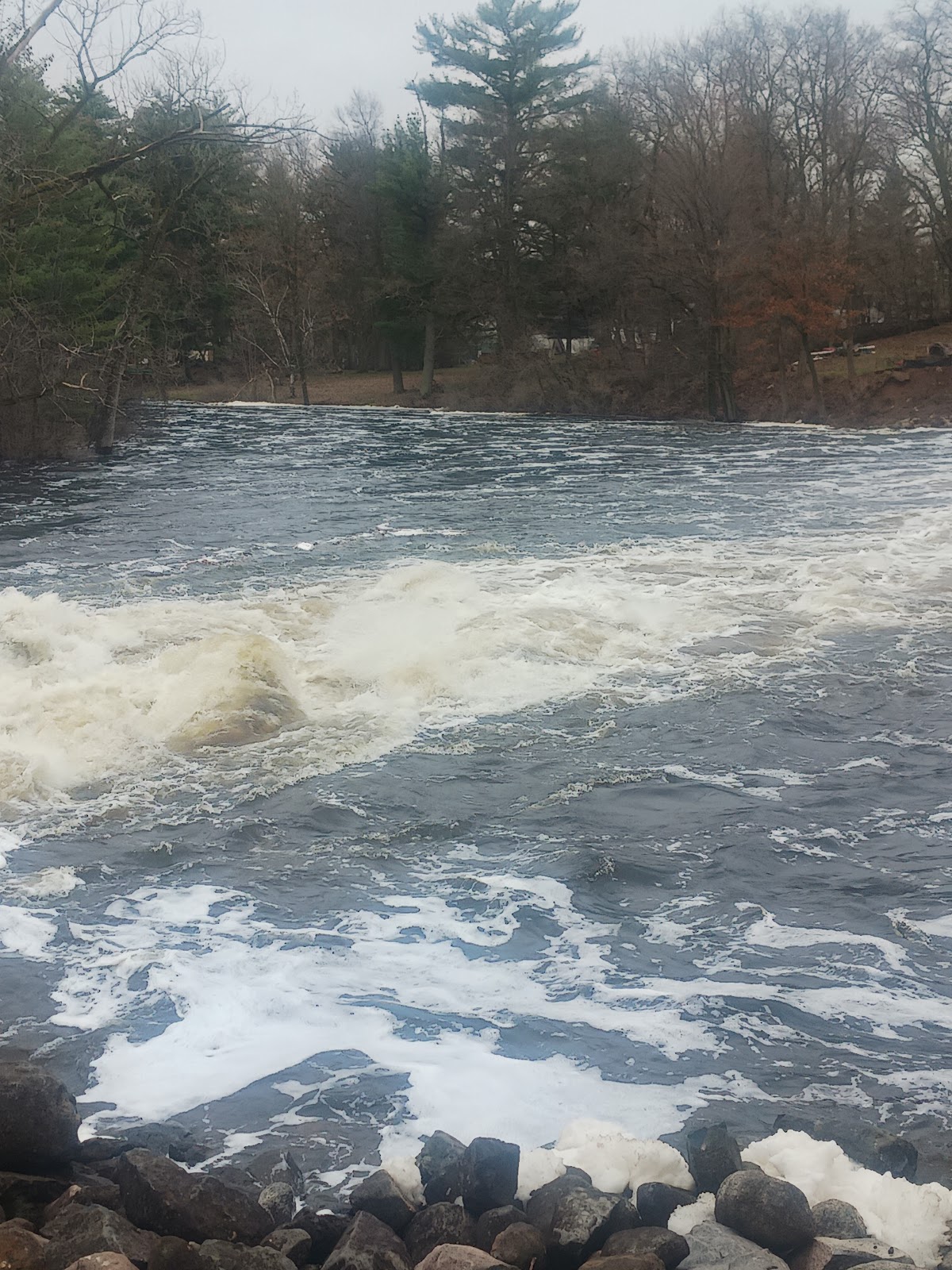 Apple River Flowage 134