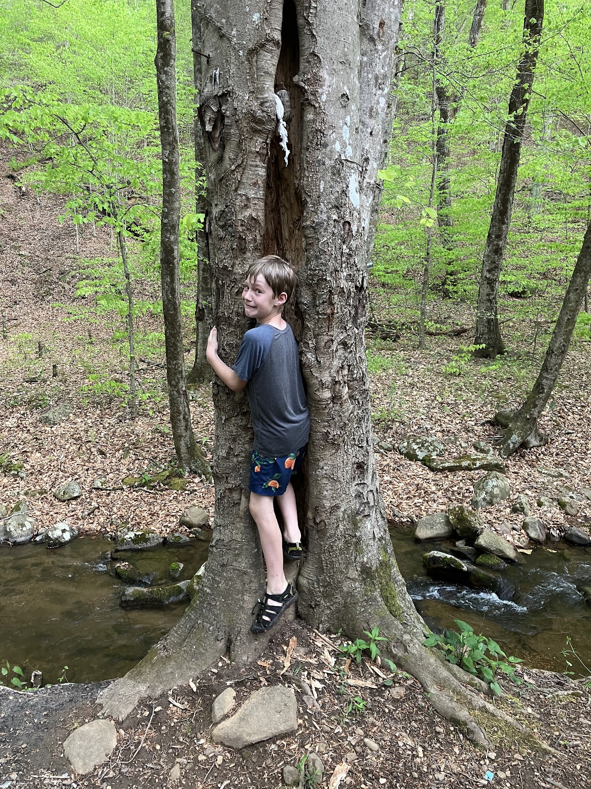Little Irish Creek