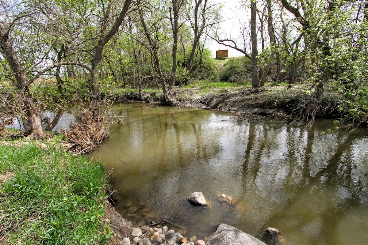 Buffalo Creek