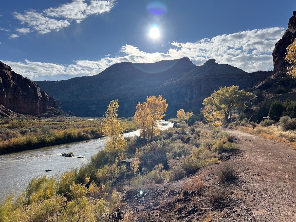 Big Dominguez Trail