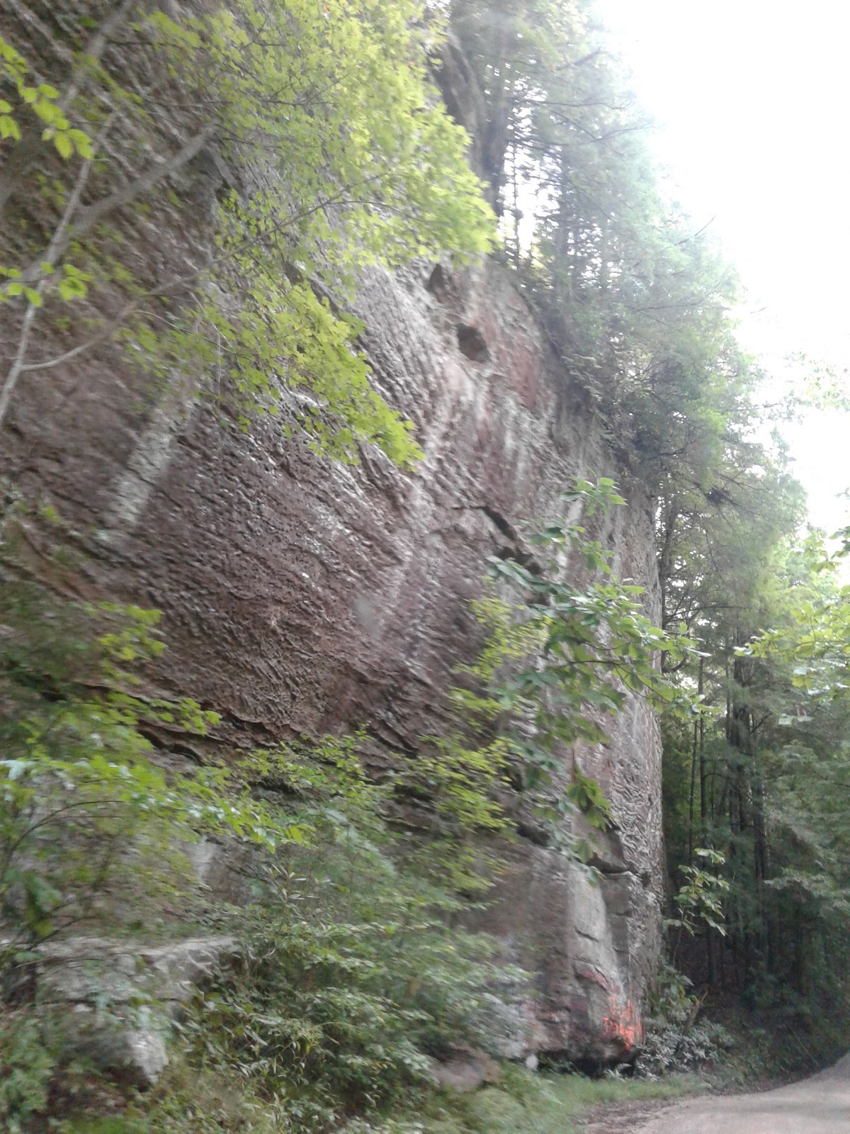 Hell Creek