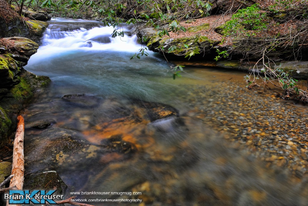 Boggs Creek Road (FS 443)