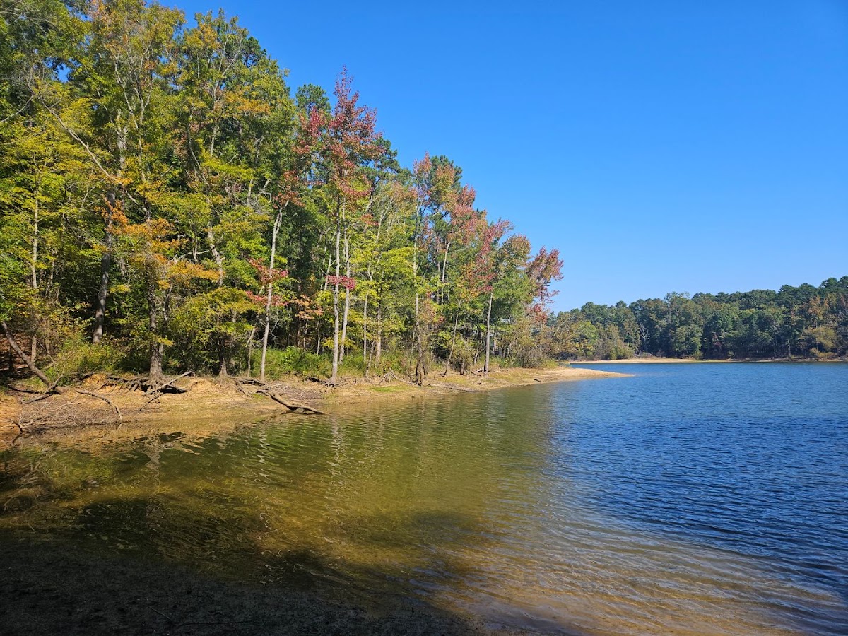 Bullocksville Park