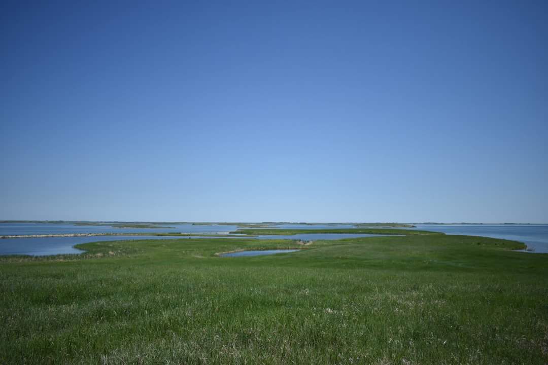 Audubon Lake