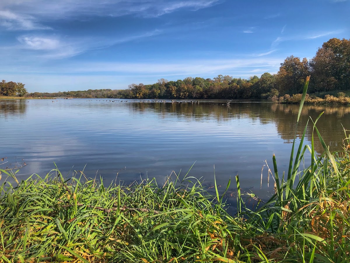 Leah Bradley Park