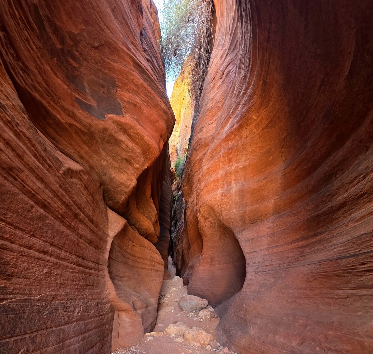 Buckskin Gulch Trail