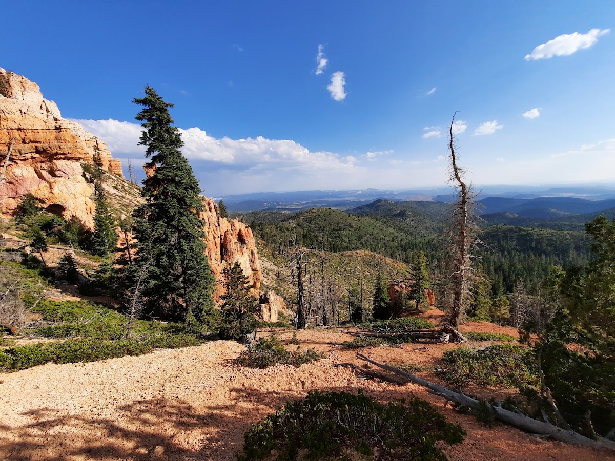 Grand View Trail
