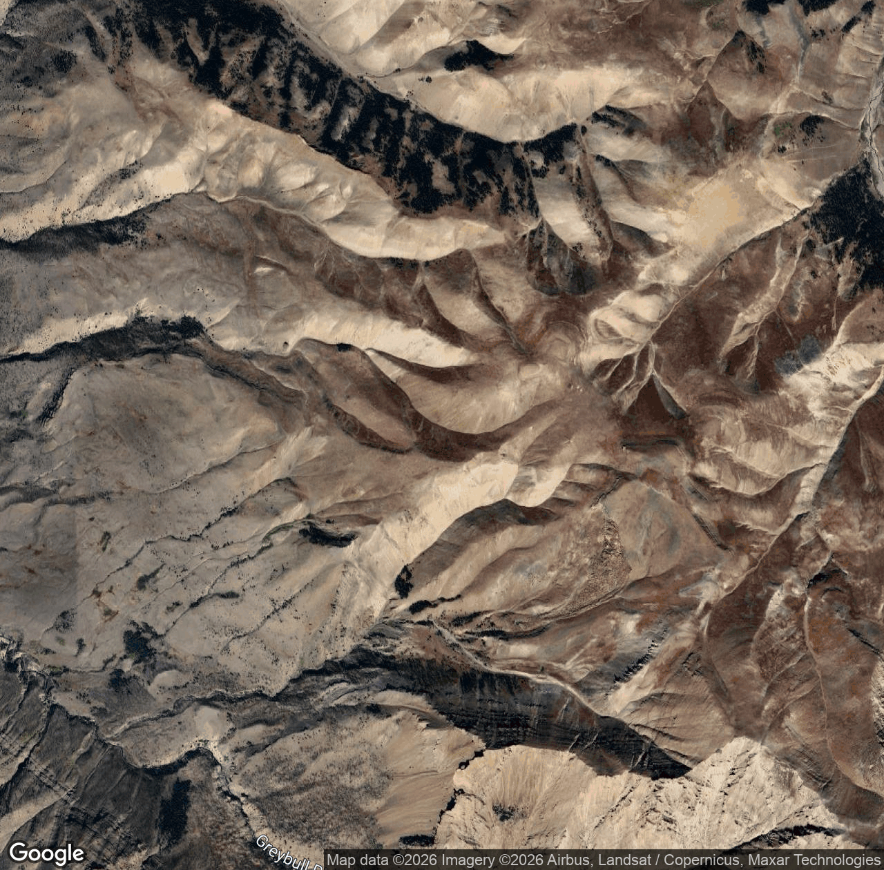 Greybull River Trail