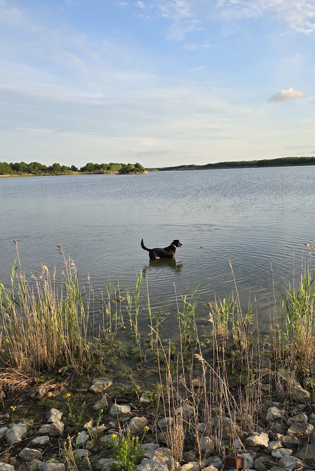 Super Lake