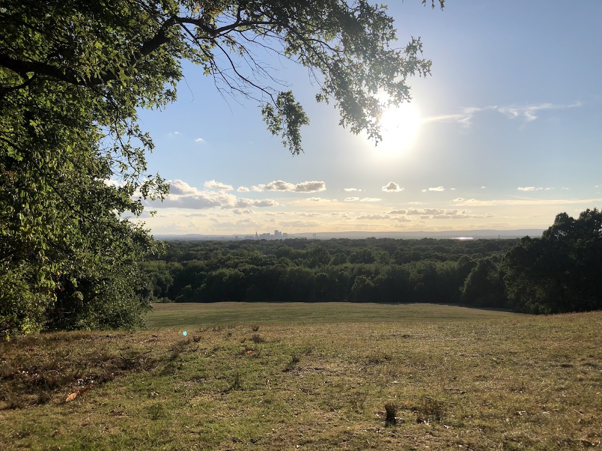 Wickham Park