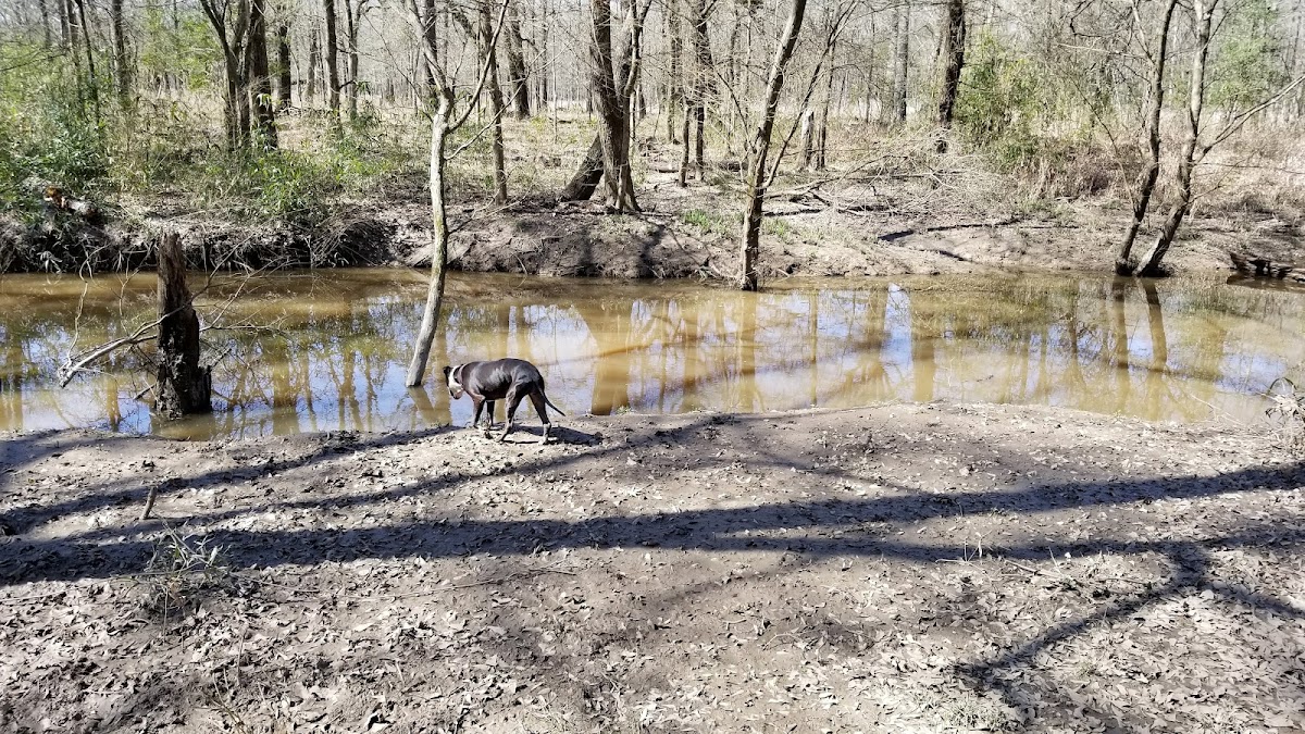 Upper Keechi Creek