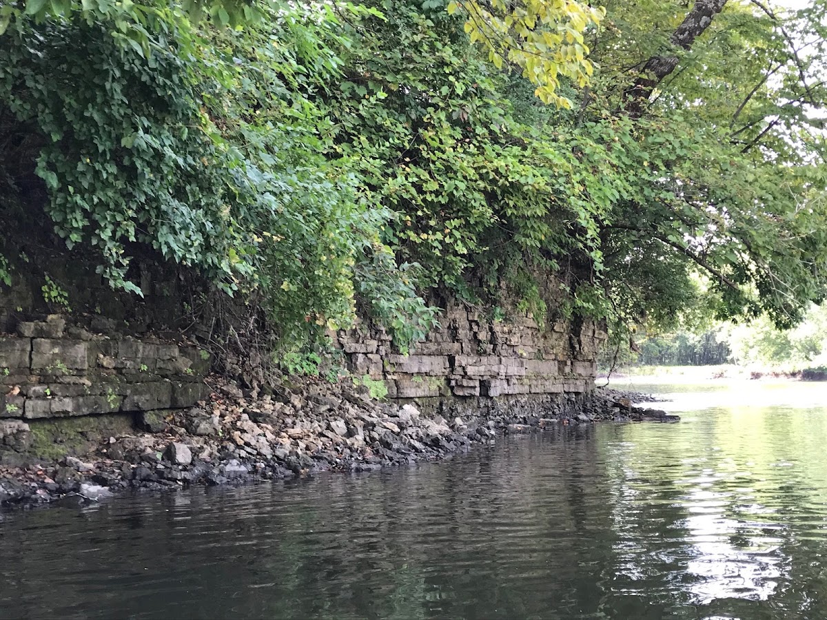 Kishwaukee River South Branch