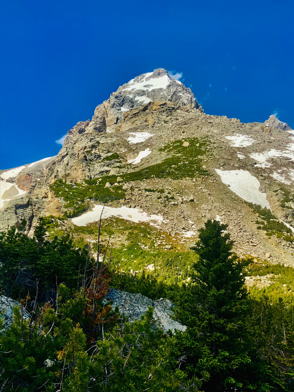 Disappointment Peak Trail