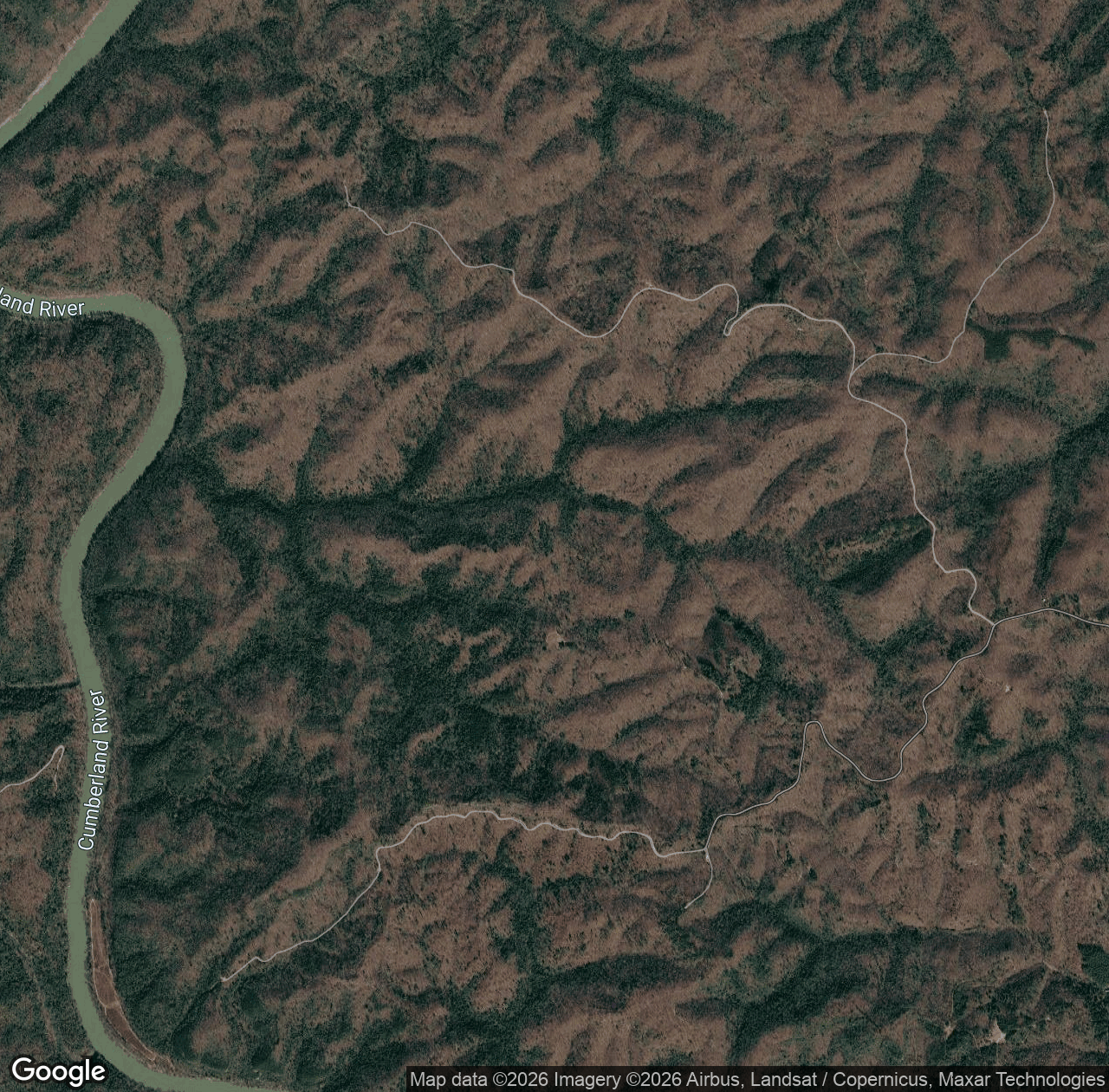 Buzzard Creek