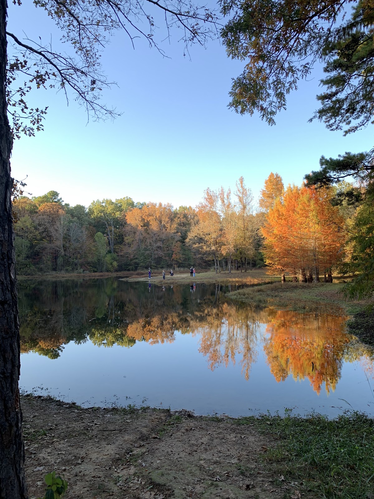 Lake Bob Sandlin