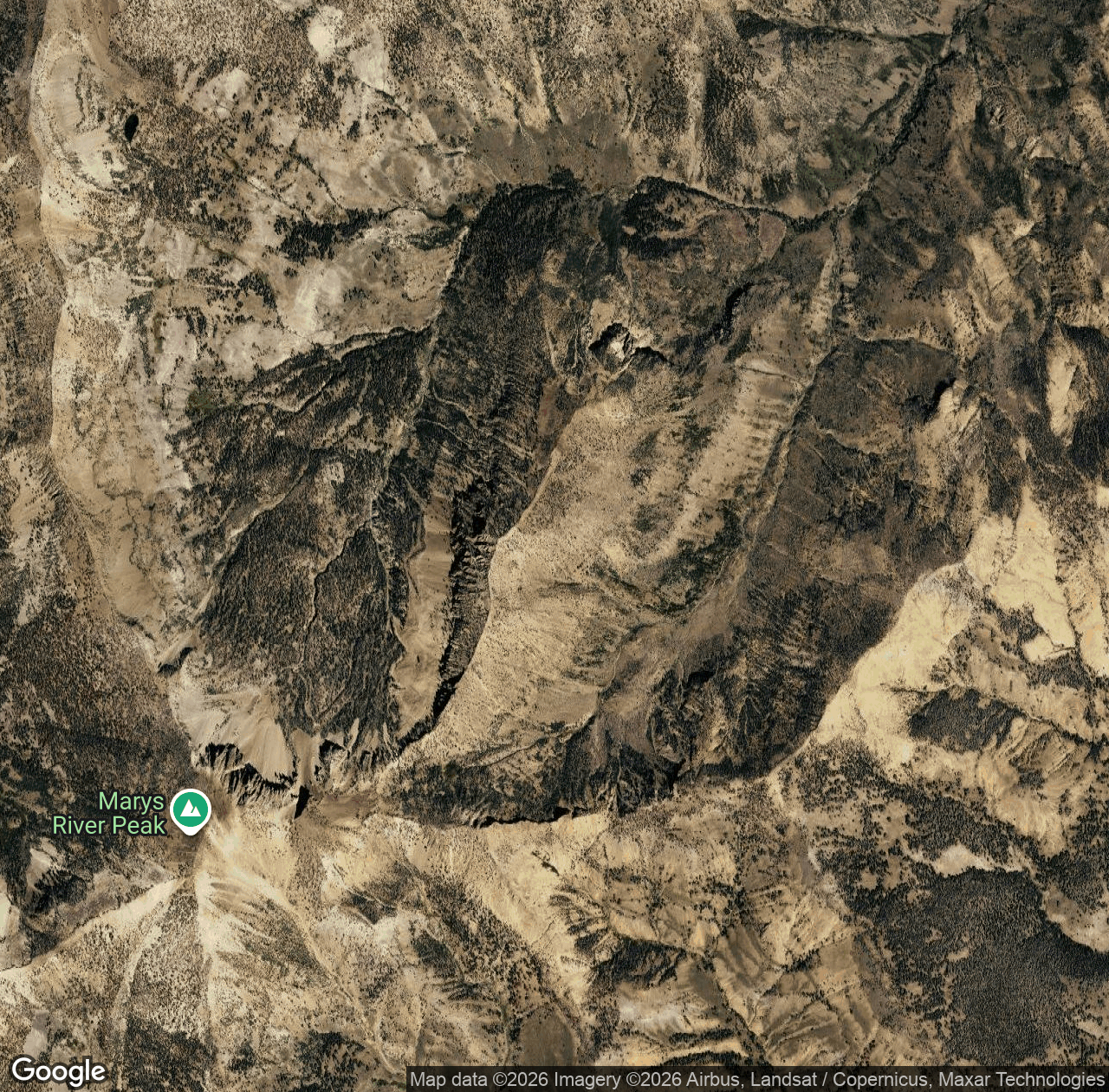 East Fork Jarbidge River Trail